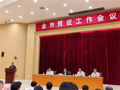 鵬通董事長參加東莞市2025年貿(mào)促工作會議和外貿(mào)企業(yè)代表座談會