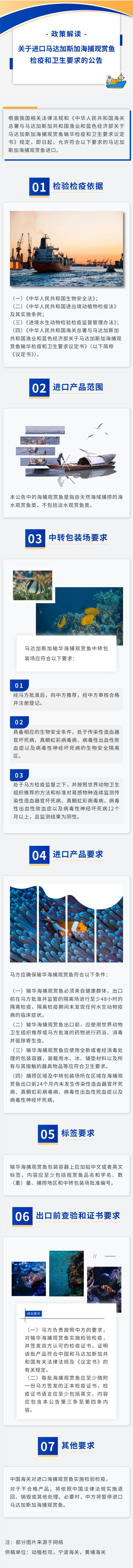 觀賞魚.jpg