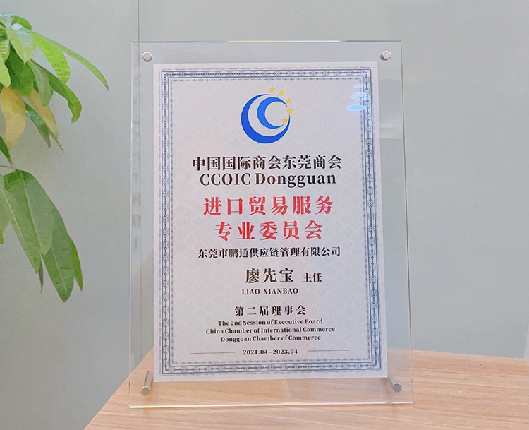中國國際商會東莞商會-進口貿(mào)易服務(wù)專業(yè)委員會