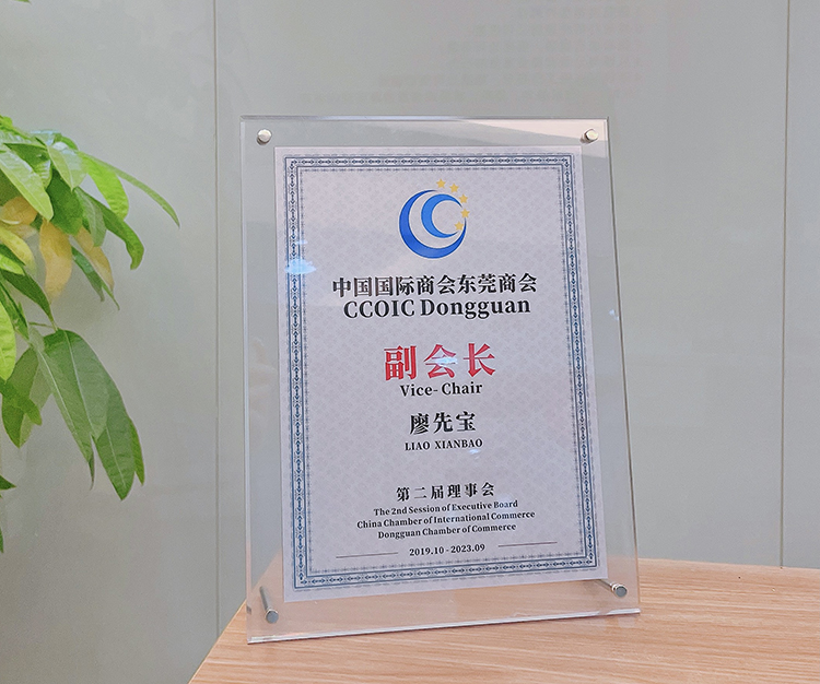 中國(guó)國(guó)際商會(huì)東莞商會(huì)-進(jìn)口貿(mào)易服務(wù)專(zhuān)業(yè)委員會(huì)