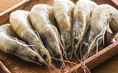 天津進口水產(chǎn)品清關