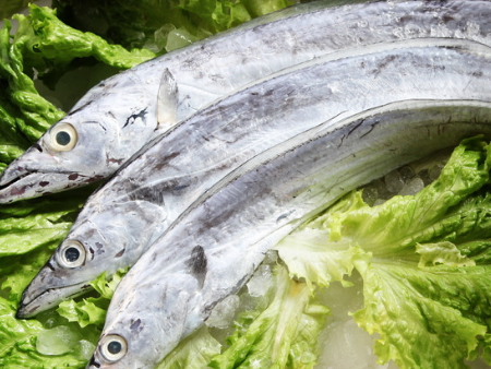 東莞進(jìn)口食品報(bào)關(guān),進(jìn)口食品報(bào)關(guān),帶魚(yú)清關(guān)