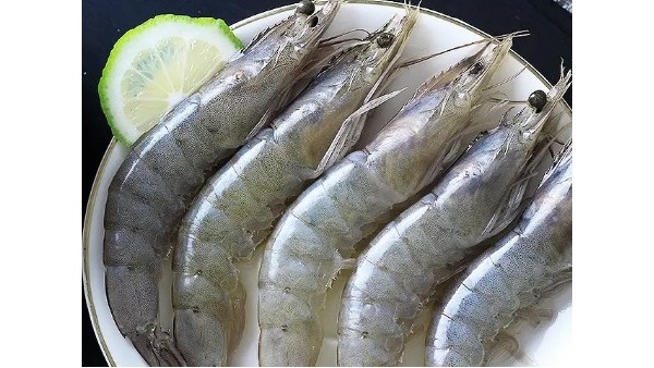 美國(guó)冷凍對(duì)蝦佛山通關(guān)代理一站式報(bào)關(guān)要求
