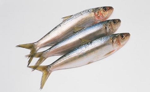 沙丁魚進口報關(guān)