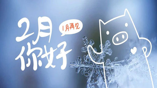 2月，這些海關(guān)政策快來(lái)看！